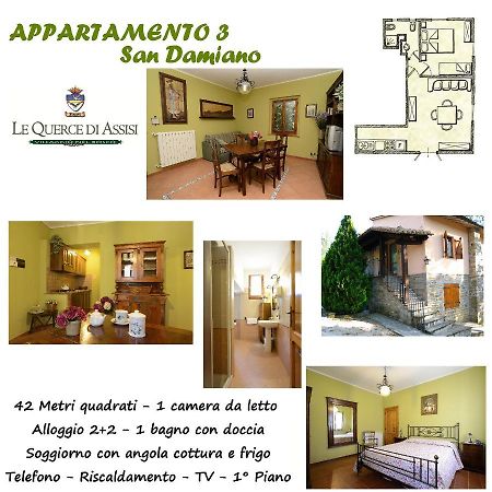 Maison d'hôtes Le Querce Di Assisi à Piano Delle Pieve Extérieur photo