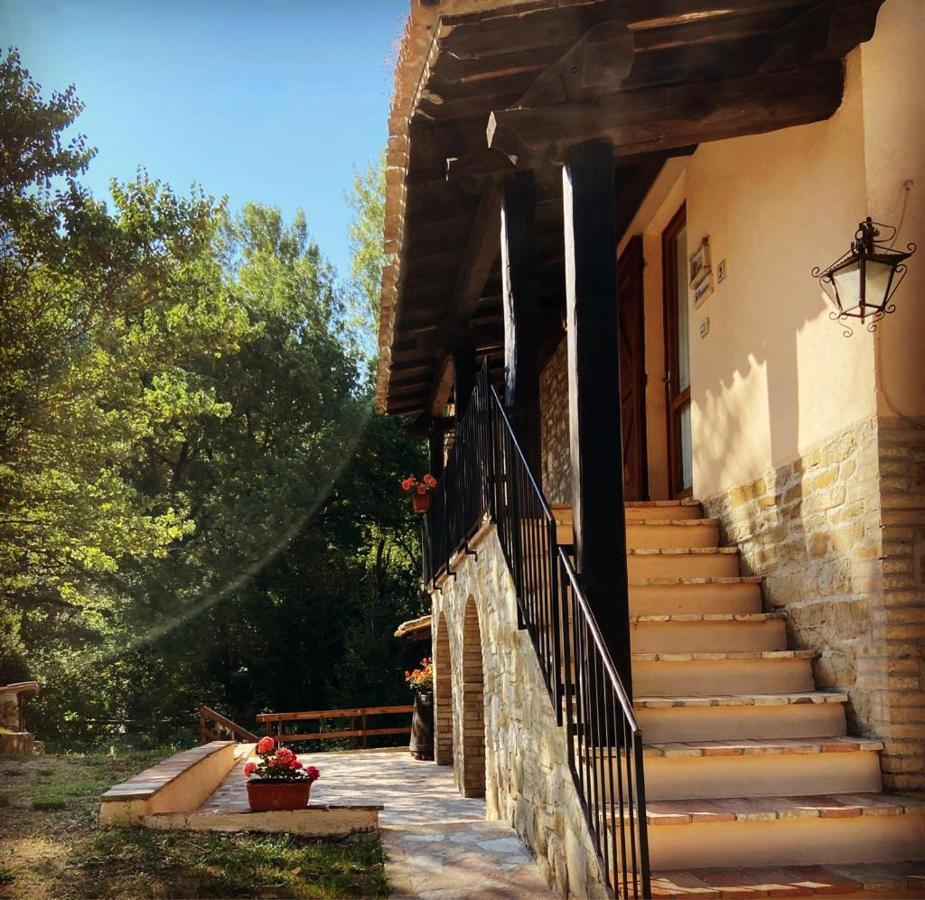 Maison d'hôtes Le Querce Di Assisi à Piano Delle Pieve Extérieur photo